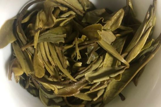 三年白茶賽砒霜，這是真的嗎？