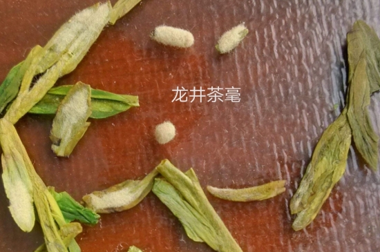 西湖龍井茶毫和發(fā)霉區(qū)別圖片，長霉的龍井茶葉會(huì)是什么樣？