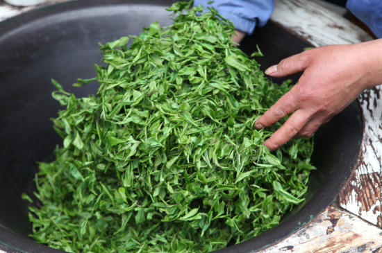 潮汕炒茶屬于什么茶，潮汕炒茶是綠茶嗎？