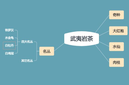 武夷巖茶品種大全，巖茶有幾種？