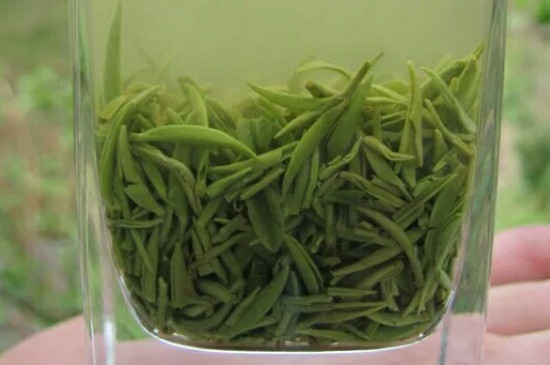 什么綠茶茶葉唇齒留香，哪個品種綠茶香氣好？