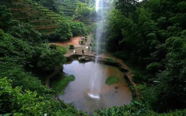 武夷山為什么盛產(chǎn)茶葉，武夷山茶為什么好喝？