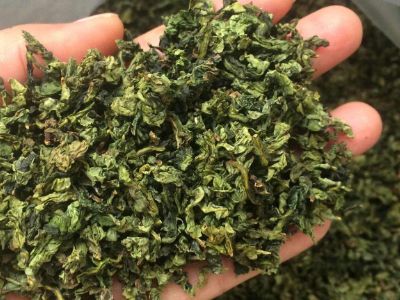 鐵觀音毛茶茶?？梢耘菟葐?，鐵觀音帶梗是不是好茶？
