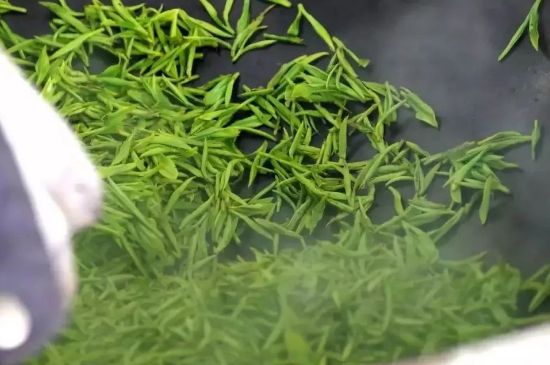 碧螺春為什么泡水渾濁，碧螺春茶葉泡水感覺很臟是混濁的